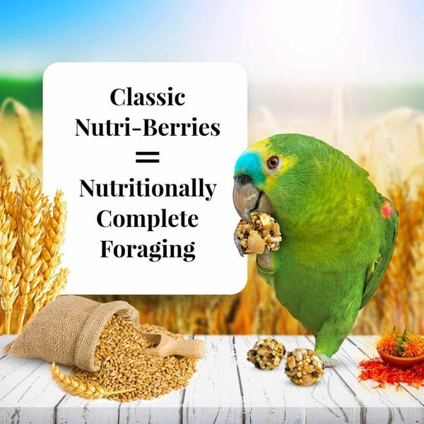 Classic Nutri-Berries Pet Bird Food, Made with Non-Gmo and Human-Grade Ingredients, for Parrots, 3.25 Lb