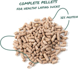 Duck Layer Pellet | High Protein for Increased Egg Production | Formulated with Probiotics to Support Healthy Digestion | 25 Pounds