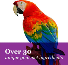 F.M. Brown'S  Gourmet Large Hookbill Food for Parrots, Cockatoos and Macaws over 13