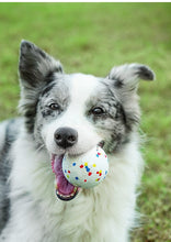 Bite-resistant Relieving Stuffy Bite-resistant Dog Toy Large Explosive Ball Labrador Golden Retriever Toy