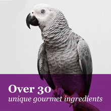 F.M. Brown'S  Gourmet Large Hookbill Food for Parrots, Cockatoos and Macaws over 13