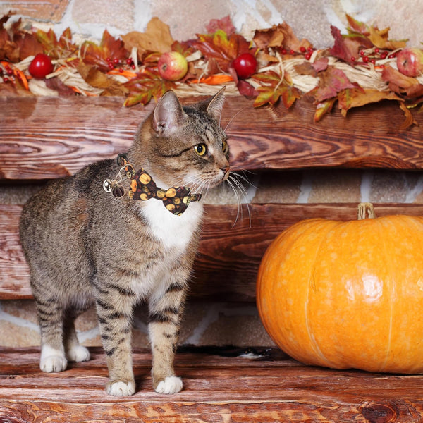 Thanksgiving Cat Collar Breakaway with Removable Bowtie Bell - 2 Pack Fall Pumpkin Cat Bow Collar Thanksgiving Bowtie Collars for Cats Kittens (Thanksgiving)