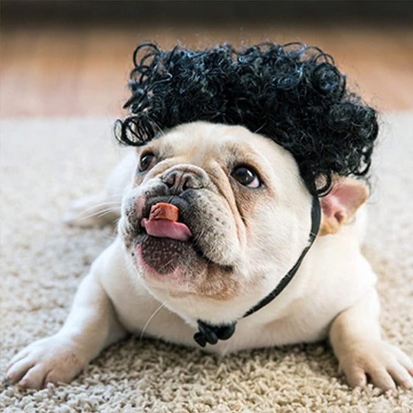 Dog Costume Cat Apparel Dog Toys Curly Braids Headgear Wigs Styling Cute Funny Pet Hair Accessories Decoration for Halloween, Christmas, Parties (Black)