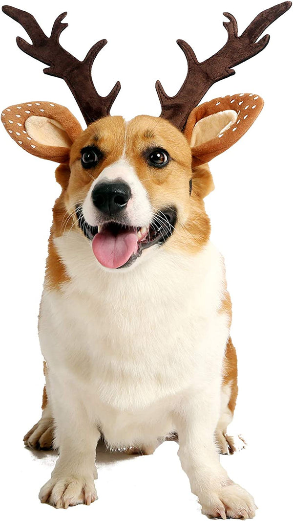 Pet Deer Costume Hat Merry Christmas Dog Antlers Headbands Elastic Band Adjustable Reindeer Cap Hair Headwear Accessories (Medium)