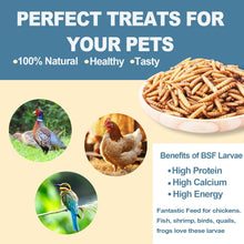 5Lbs Dried Black Soldier Fly Larvae for Chickens Food - 100% Natural BSF Larvae More Calcium than Dried Mealworms - High Protein Chicken Treats for Laying Hens Ducks Birds