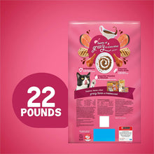 Purina  Dry Cat Food, Gravy Swirlers - 22 Lb. Bag