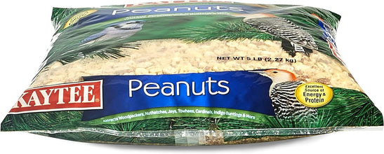 Shelled Peanuts for Woodpeckers, Nuthatches, Jays, Towhees, Cardinals, Indigo Buntings & Other Wild Birds, 5 Pound