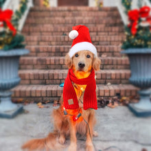 Dog Santa Hat and Scarf - Christmas Dog Costumes Pet Santa Hat Christmas Dog Scarf for Large Dogs