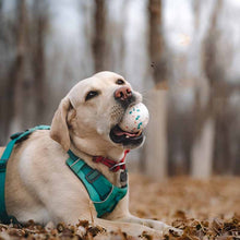 ETPU Resistant Teeth Chewing Pet Dog Toy Ball