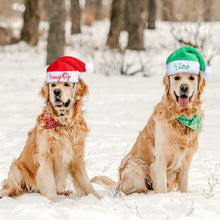 2 Pcs Dog Christmas Santa Hat Small Naughty or Nice Hat Dog Cat Plush Hat Pet Dog Santa Costume for Small Puppy Kitten Cosplay Dolls Crafts