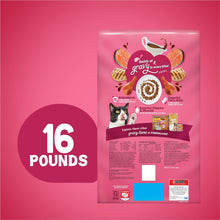 Purina  Dry Cat Food, Gravy Swirlers - 16 Lb. Bag