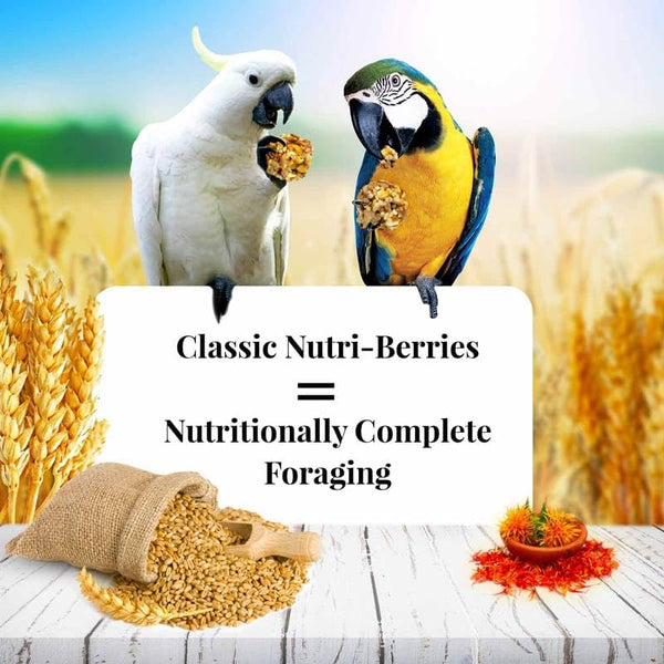 Classic Nutri-Berries for Macaw / Cockatoo 3.5 Lb. Tub