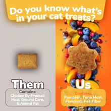 Crunchy Treats for Cats – Healthy Low Calorie Treats Packed with Protein – Free of Wheat, Corn and Soy – Made with Real Tuna with Pumpkin – 2.5 Ounces