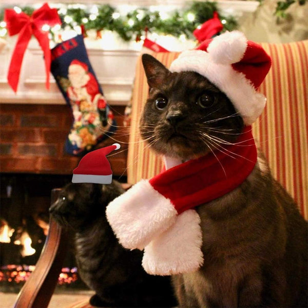 Cat Christmas Costume Santa Hat with Scarf Gift for Cute Pet Cats Small Dogs Xmas Outfits Clothes One Size