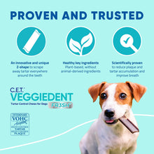 CET Veggiedent FR3SH Tartar Control Chews for Dogs, Medium (Pack of 30)