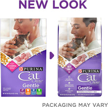 Gentle Dry Cat Food, Sensitive Stomach + Skin - 13 Lb. Bag