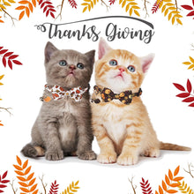 Thanksgiving Cat Collar Breakaway with Removable Bowtie Bell - 2 Pack Fall Pumpkin Cat Bow Collar Thanksgiving Bowtie Collars for Cats Kittens (Thanksgiving)