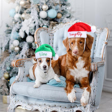 2 Pcs Dog Christmas Santa Hat Small Naughty or Nice Hat Dog Cat Plush Hat Pet Dog Santa Costume for Small Puppy Kitten Cosplay Dolls Crafts